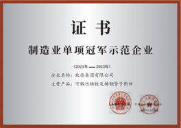 制造業單項冠軍示范企業